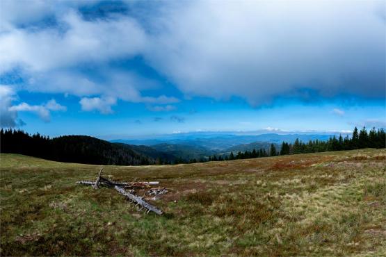 Strażnicy Beskidzkiej Puszczy: Kapliczki, demony i ryki jeleni