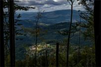 Strażnicy Beskidzkiej Puszczy: Kapliczki, demony i ryki jeleni