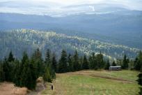 Strażnicy Beskidzkiej Puszczy: Kapliczki, demony i ryki jeleni