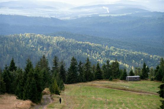 Strażnicy Beskidzkiej Puszczy: Kapliczki, demony i ryki jeleni