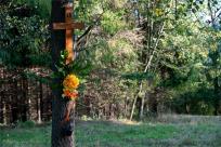 Strażnicy Beskidzkiej Puszczy: Kapliczki, demony i ryki jeleni