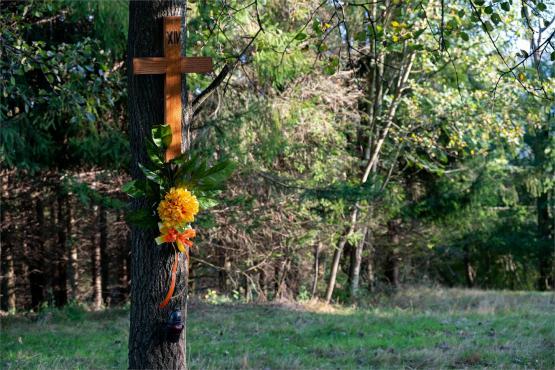 Strażnicy Beskidzkiej Puszczy: Kapliczki, demony i ryki jeleni