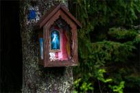 Strażnicy Beskidzkiej Puszczy: Kapliczki, demony i ryki jeleni