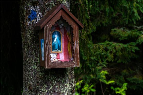 Strażnicy Beskidzkiej Puszczy: Kapliczki, demony i ryki jeleni