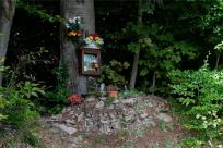 Strażnicy Beskidzkiej Puszczy: Kapliczki, demony i ryki jeleni