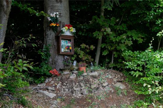 Strażnicy Beskidzkiej Puszczy: Kapliczki, demony i ryki jeleni