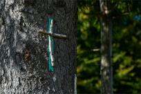 Strażnicy Beskidzkiej Puszczy: Kapliczki, demony i ryki jeleni