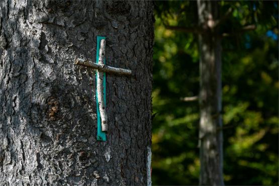 Strażnicy Beskidzkiej Puszczy: Kapliczki, demony i ryki jeleni
