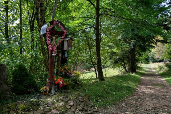 Strażnicy Beskidzkiej Puszczy: Kapliczki, demony i ryki jeleni