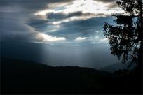 Strażnicy Beskidzkiej Puszczy: Kapliczki, demony i ryki jeleni