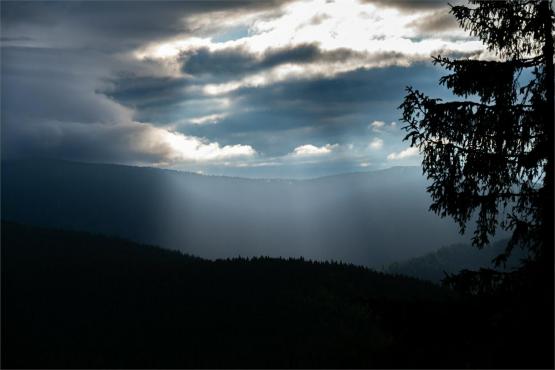Strażnicy Beskidzkiej Puszczy: Kapliczki, demony i ryki jeleni