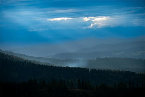 Strażnicy Beskidzkiej Puszczy: Kapliczki, demony i ryki jeleni