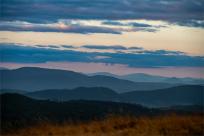 Strażnicy Beskidzkiej Puszczy: Kapliczki, demony i ryki jeleni