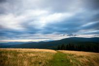 Strażnicy Beskidzkiej Puszczy: Kapliczki, demony i ryki jeleni