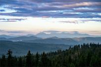 Strażnicy Beskidzkiej Puszczy: Kapliczki, demony i ryki jeleni
