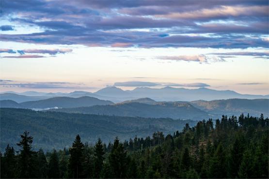 Strażnicy Beskidzkiej Puszczy: Kapliczki, demony i ryki jeleni