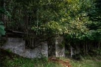 Strażnicy Beskidzkiej Puszczy: Kapliczki, demony i ryki jeleni