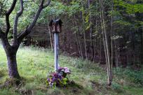 Strażnicy Beskidzkiej Puszczy: Kapliczki, demony i ryki jeleni