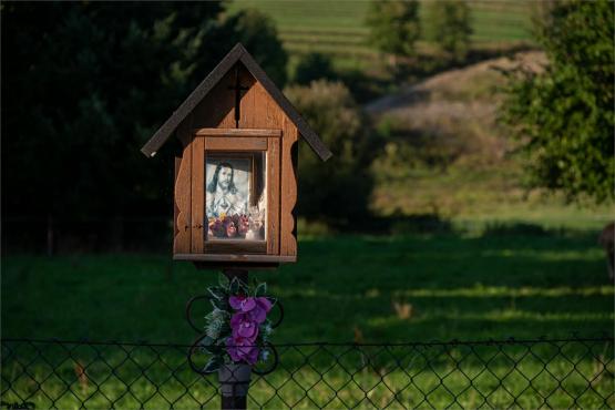 Strażnicy Beskidzkiej Puszczy: Kapliczki, demony i ryki jeleni