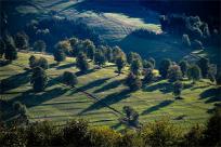 Strażnicy Beskidzkiej Puszczy: Kapliczki, demony i ryki jeleni