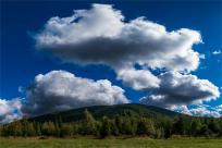 Strażnicy Beskidzkiej Puszczy: Kapliczki, demony i ryki jeleni