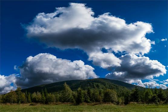 Strażnicy Beskidzkiej Puszczy: Kapliczki, demony i ryki jeleni