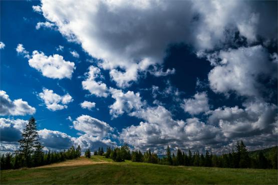 Strażnicy Beskidzkiej Puszczy: Kapliczki, demony i ryki jeleni