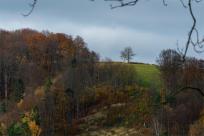 Vsetín na Pełnym Gazie: XVIII Rentor-Partr Rally 2022