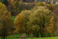 Vsetín na Pełnym Gazie: XVIII Rentor-Partr Rally 2022