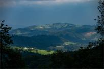 Rajd Barum Czech Rally Zlín 2023: Adrenalina, historia i czeska pasja do motosportu