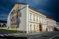 Wyścig górski AMK Ecce Homo Šternberk 2024, Mistrzostwa Europy