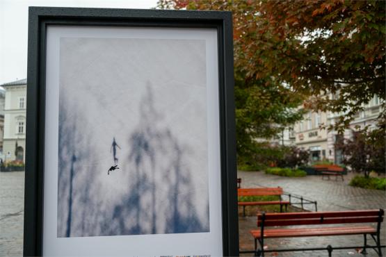 XI FotoArtFestival w Bielsku-Białej, dwadzieścia lat fotografii, która nie mówi wprost