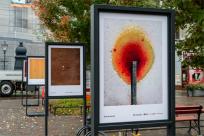 XI FotoArtFestival w Bielsku-Białej, dwadzieścia lat fotografii, która nie mówi wprost