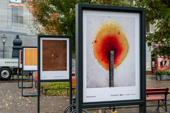 XI FotoArtFestival w Bielsku-Białej, dwadzieścia lat fotografii, która nie mówi wprost