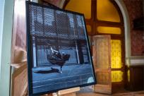 XI FotoArtFestival w Bielsku-Białej, dwadzieścia lat fotografii, która nie mówi wprost