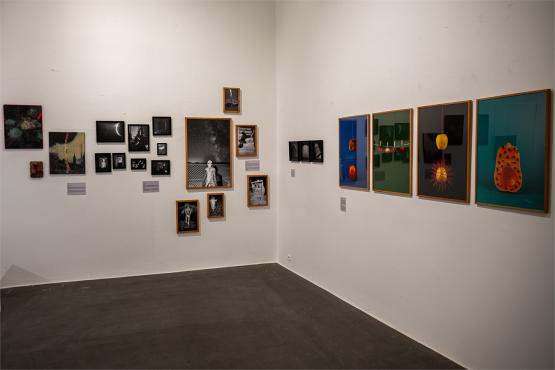 XI FotoArtFestival w Bielsku-Białej, dwadzieścia lat fotografii, która nie mówi wprost