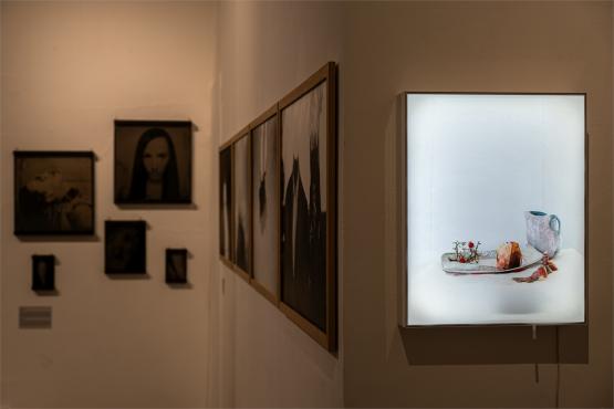 XI FotoArtFestival w Bielsku-Białej, dwadzieścia lat fotografii, która nie mówi wprost