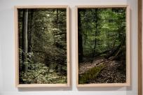 XI FotoArtFestival w Bielsku-Białej, dwadzieścia lat fotografii, która nie mówi wprost