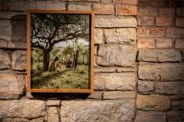 XI FotoArtFestival w Bielsku-Białej, dwadzieścia lat fotografii, która nie mówi wprost