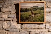 XI FotoArtFestival w Bielsku-Białej, dwadzieścia lat fotografii, która nie mówi wprost