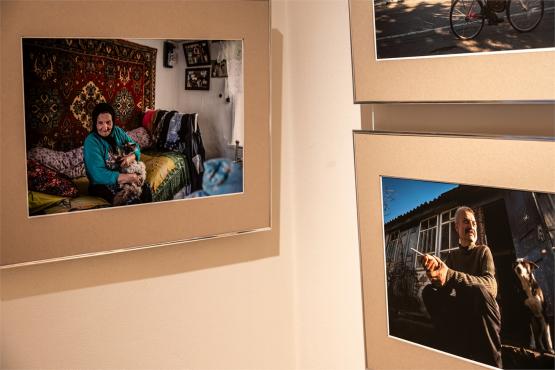 XI FotoArtFestival w Bielsku-Białej, dwadzieścia lat fotografii, która nie mówi wprost