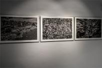 XI FotoArtFestival w Bielsku-Białej, dwadzieścia lat fotografii, która nie mówi wprost