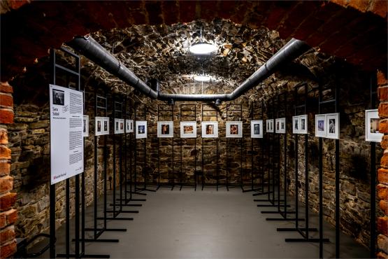 XI FotoArtFestival w Bielsku-Białej, dwadzieścia lat fotografii, która nie mówi wprost