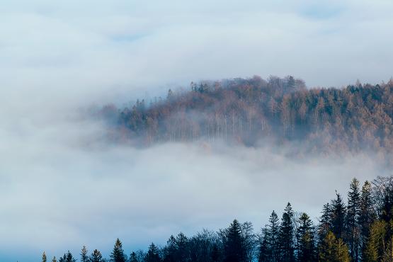 Inwersja nad Bielskiem