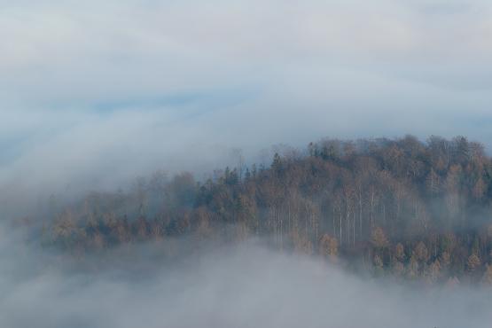 Inwersja nad Bielskiem