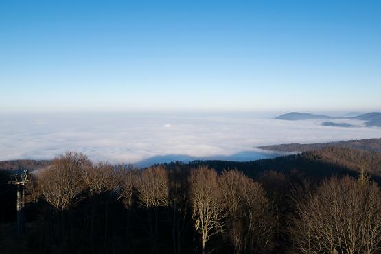 Inwersja nad Bielskiem