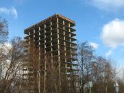 Bielski Szkieletor: Historia niezrealizowanych marzeń i symbol epoki