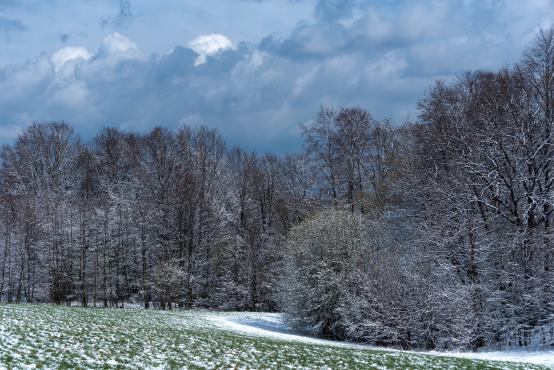 Łąka po burzy śnieżnej, okolice Trzech Lipek w Bielsku-Białej